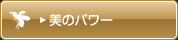 美のパワー