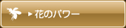 花のパワー